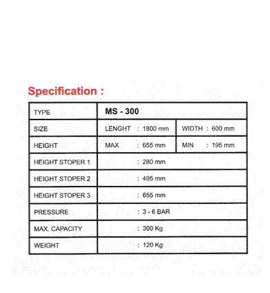 Summary MS300